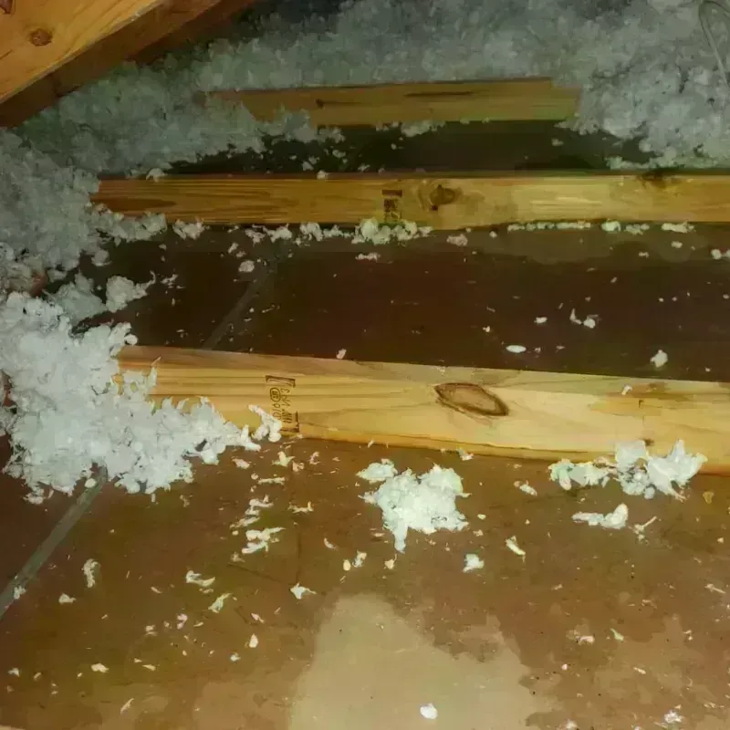 Attic Water Damage in Wilderness Rim, WA