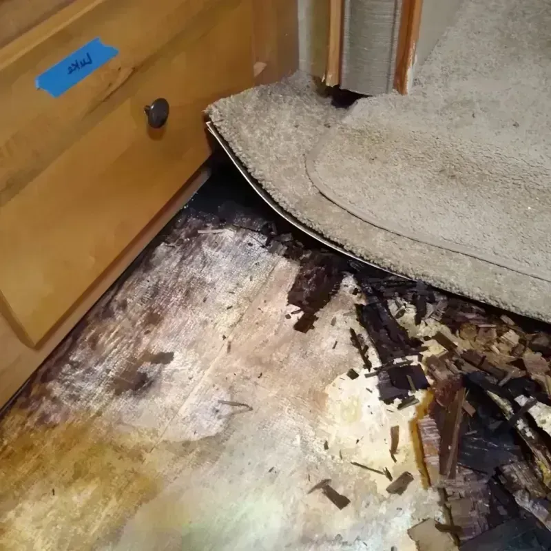 Wood Floor Water Damage in Wilderness Rim, WA